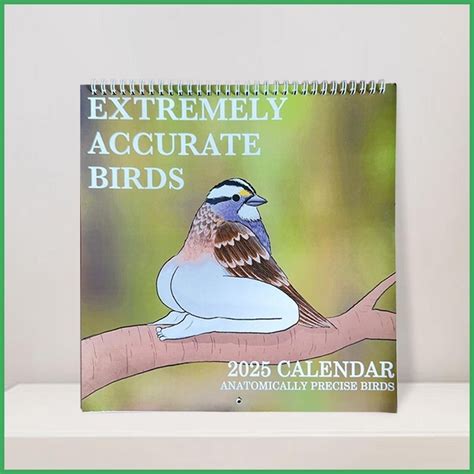 Funny Birds 2025 must-see